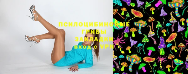 бошки Киреевск